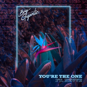 You’re the One (feat. Nevve)