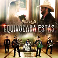 Equivocada Estás — Los Viejones De Linares