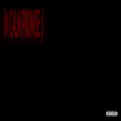 IM CALM PROMISE :) (feat. nigxl & sailorgenki) - Single