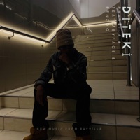 Album cover for Diteki (feat. Tsa'Babyface & Benzoo) by Rayville