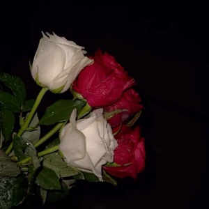can yu be my valentines