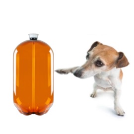 Im so paranoid... 404.dream