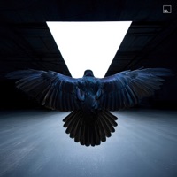 The Language - Single - Sian & Bobby Nourmand
