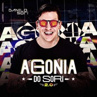 Agonia do Sori 2.0 - Danilo Sori