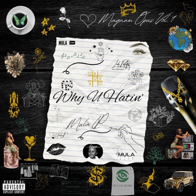 Why U Hatin' - Single