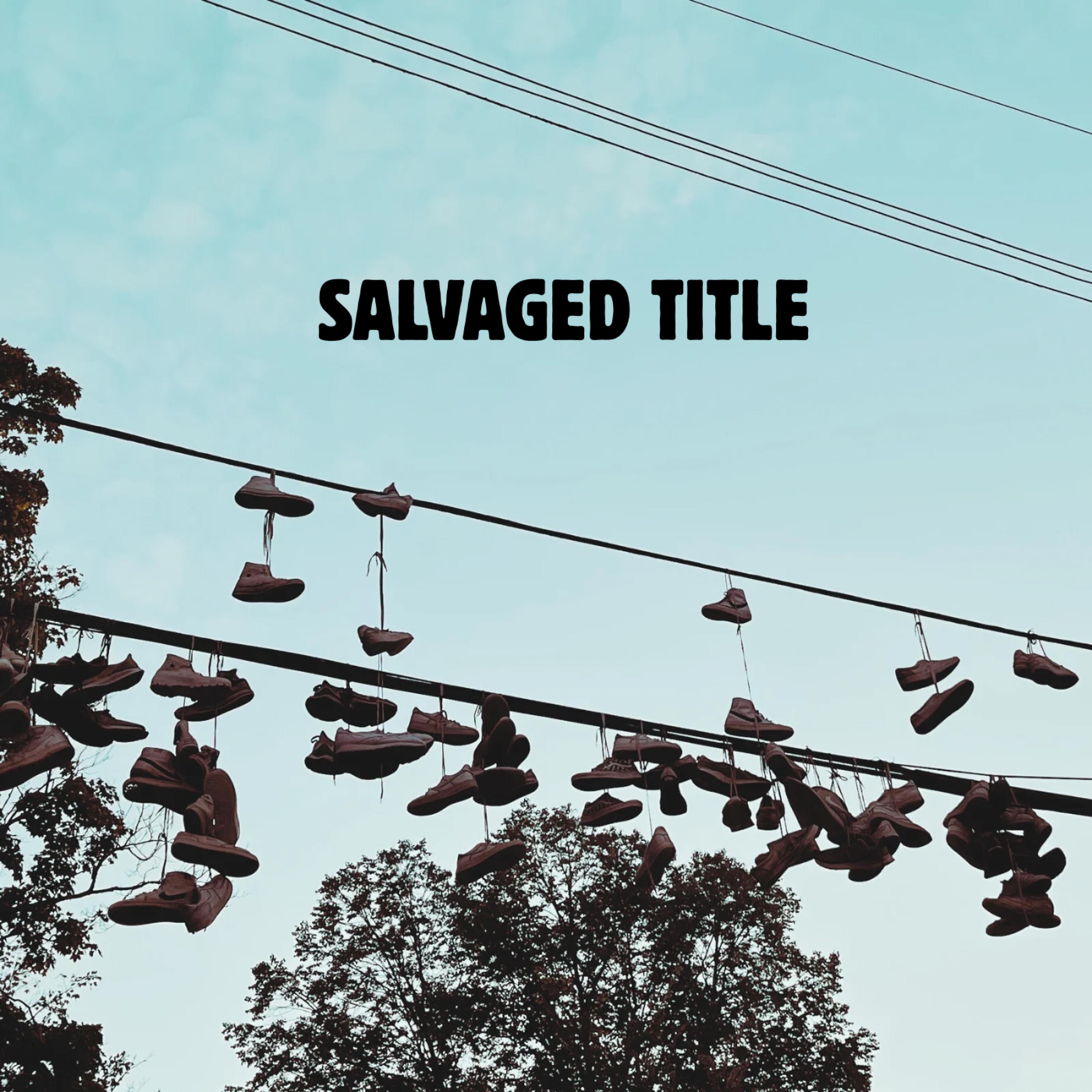 Salvaged Title - Single