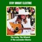 Where Have You Gone, Fair Lady - Stay Bright Electric lyrics