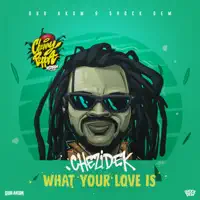 What Your Love Is — Chezidek