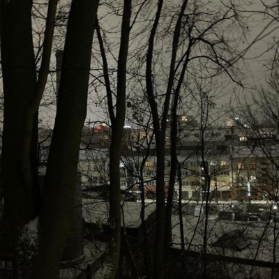 tu zudai (feat. gauras) - Single