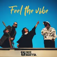 Feel the Vibe — Irie Maffia