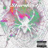 Stardust - Calisi