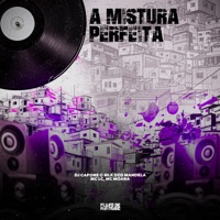 A Mistura Perfeita (feat. MC Lc) - Single - Mc Moana