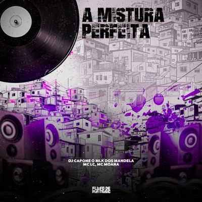 A Mistura Perfeita (feat. MC Lc) - Single