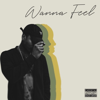 Wanna Feel - Single