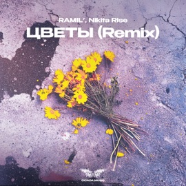 Цветы (Remix) Ramil' & Nikita Rise