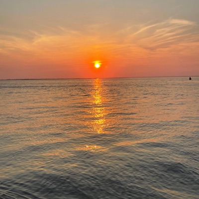 You Miss Me? - Single