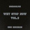 WHY STOP NOW, Vol. 2 - EP