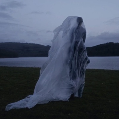 Me gustaría verte (feat. Marcelo Soler) - Single