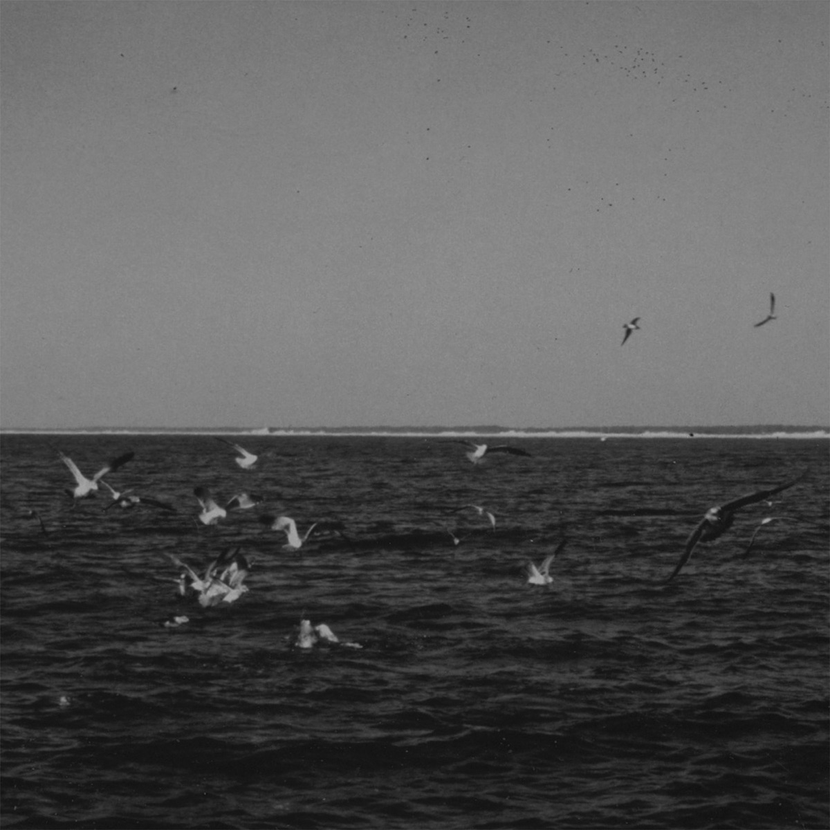 Cemeteries - Barrow (2015) [iTunes Plus AAC M4A]-新房子