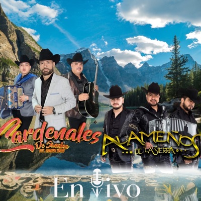 Los Parranderos De Chihuahua - Lástima Que Sea Mi Prima (feat. Cardenales De Sinaloa) [En vivo]