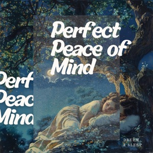 Perfect Peace of Mind