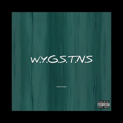 W.Y.G.S.T.N.S.(When you gone stop the nut shit) - Single