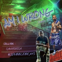 AM I WRONG (feat. CELLYON & SAVVYSOSA) - Single - S Dubblebeats