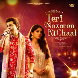 Teri Nazaron Ki Chaal Shahzad Ali