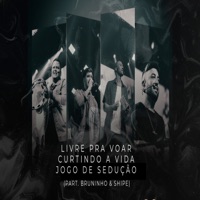 Livre pra Voar / Curtindo a Vida / Jogo de Sedução (Ao Vivo) [feat. Bruninho & Shipe] - Single - PlanoB.SC