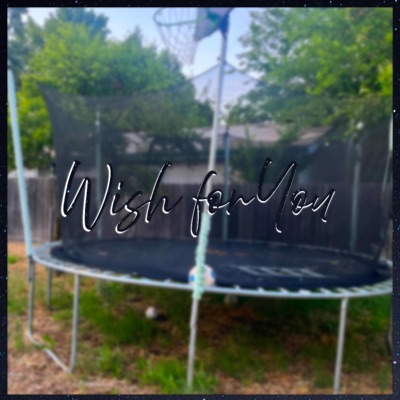 Wish For You - Single