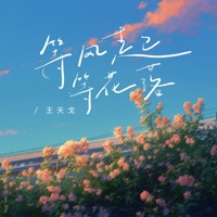等风起等花落 - Single - 王天戈