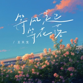 等风起等花落 (伴奏) 王天戈