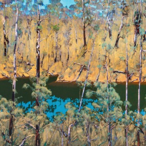 Blackwood : 4. night river