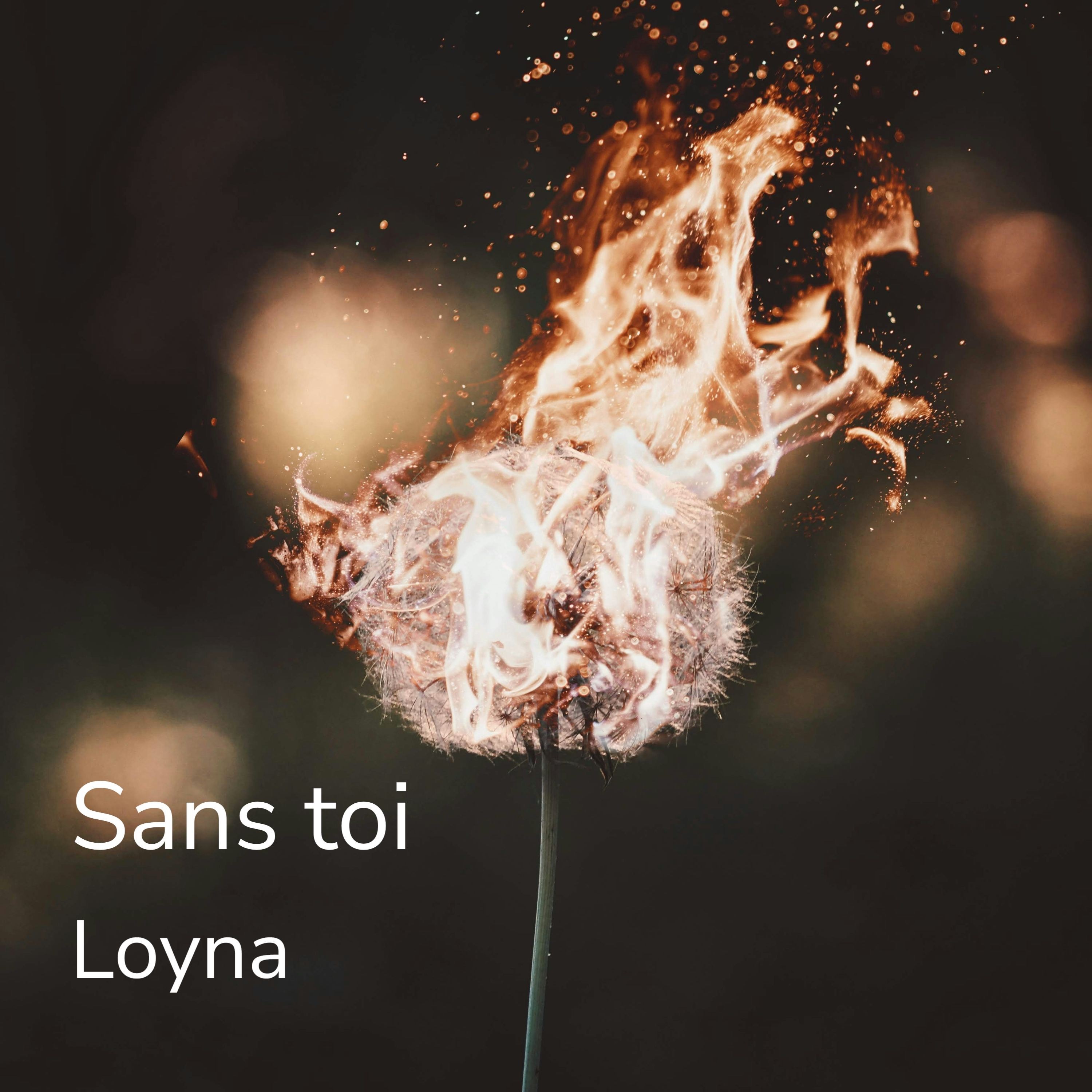 Sans toi - Single