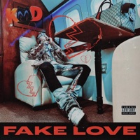 Fake Love - Single - KMD