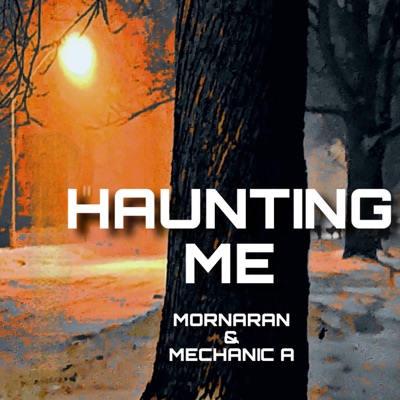 Haunting Me (feat. Mechanic A) - Single