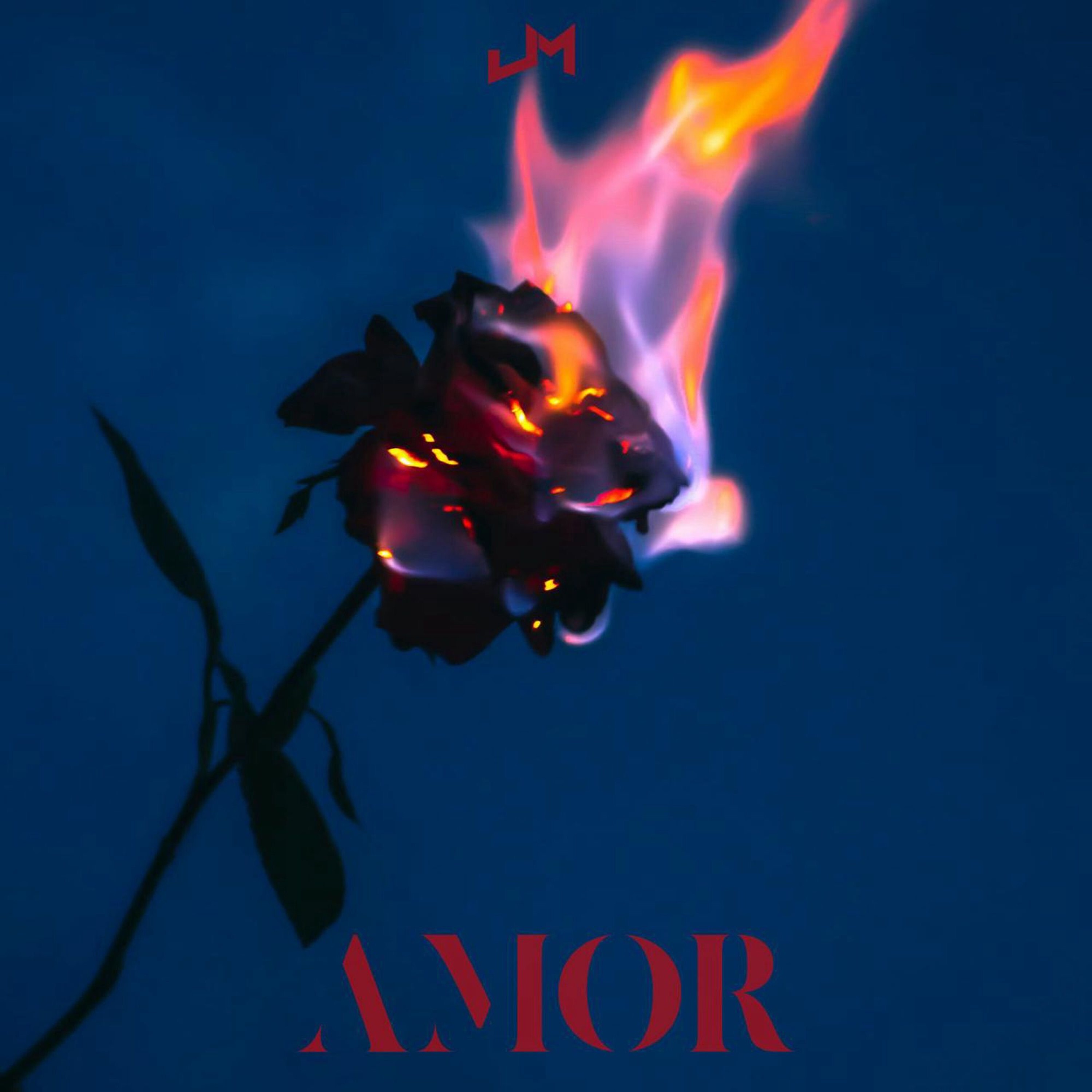 Amor - Single