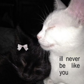 insane (feat. parisplacid & Mxno) mocha.mp3