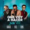 Que Voy a Hacer Sin Ti