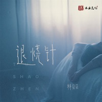 退烧针 - Single - 林贝贝