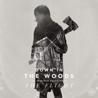 Down In The Woods - The Flight