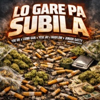 Lo Gare Pa Subila (feat. Megadivo Producer) - Single - junior gatty