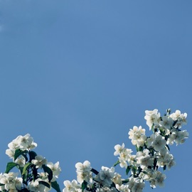 К дому Stormovoy