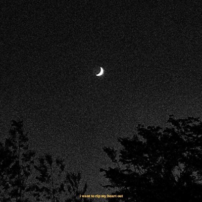 i want to rip my heart out - Single