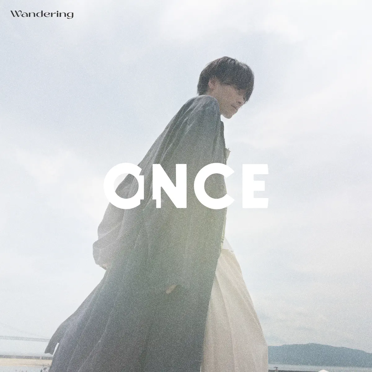 ONCE - Wandering (2024) [iTunes Plus AAC M4A]-新房子