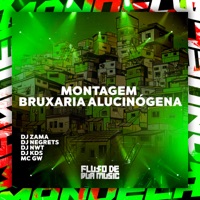 Montagem Bruxaria Alucinógena - Single - DJ Zama, DJ KDS, MC GW, DJ NWT & DJ NEGRETS