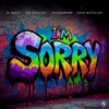DJ Wout, Jan Vervloet, Pulsedriver & Dave McCullen - I'm Sorry artwork