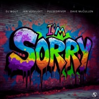 I'm Sorry - Single - DJ Wout, Jan Vervloet, Pulsedriver & Dave McCullen