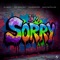 I'm Sorry - DJ Wout, Jan Vervloet, Pulsedriver & Dave McCullen lyrics
