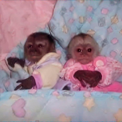 Solos Tú y Yo - Single